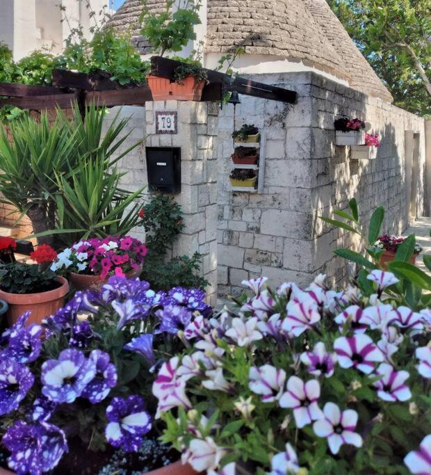 הוילה לוקורוטונדו Il Trullo Felice מראה חיצוני תמונה