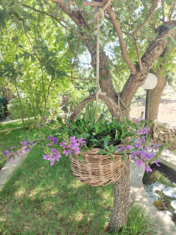הוילה לוקורוטונדו Il Trullo Felice מראה חיצוני תמונה